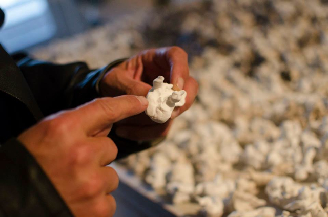 1379530_476724452442227_109353320_n